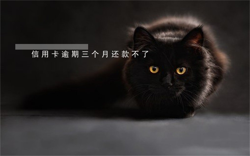 信用卡逾期三个月还款不了