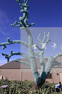 信用卡逾期三个月还清有额度吗 信用卡逾期三个月还清有额度吗