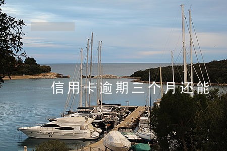 信用卡逾期三个月还能 信用卡逾期三个月还能