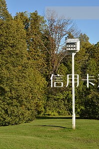信用卡逾期三个月还能开卡吗 信用卡逾期三个月还能开卡吗