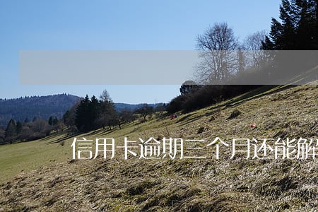 信用卡逾期三个月还能解冻么 信用卡逾期三个月还能解冻么