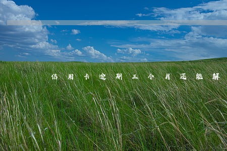 信用卡逾期三个月还能解冻吗