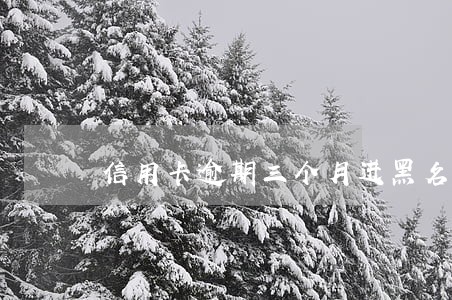 信用卡逾期三个月进黑名单吗 信用卡逾期三个月进黑名单吗