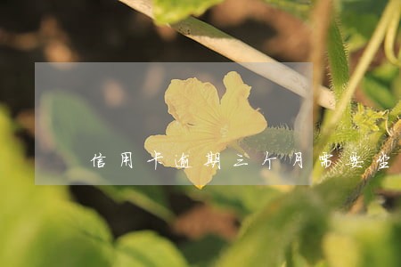 信用卡逾期三个月需要坐牢么 信用卡逾期三个月需要坐牢么