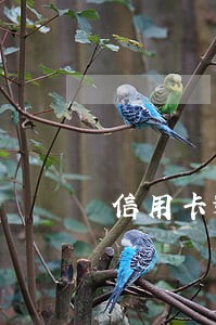 信用卡逾期三个月额度30万 信用卡逾期三个月额度30万