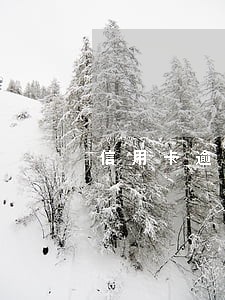 信用卡逾期三倍罚金 信用卡逾期三倍罚金
