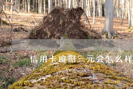 信用卡逾期三元会怎么样