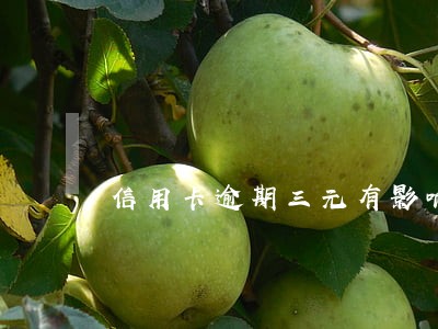 信用卡逾期三元有影响吗 信用卡逾期三元有影响吗