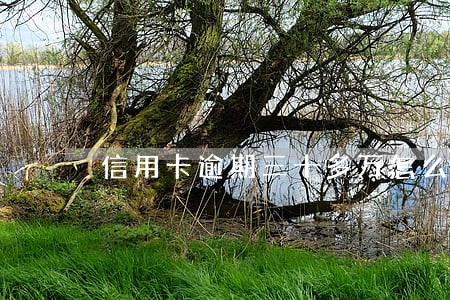 信用卡逾期三十多万怎么办 信用卡逾期三十多万怎么办