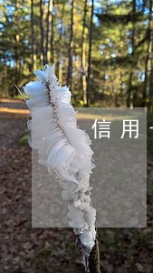 信用卡逾期三十多次多久能消 信用卡逾期三十多次多久能消