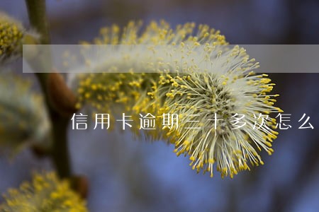 信用卡逾期三十多次怎么办
