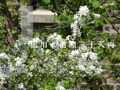 信用卡逾期三十天内