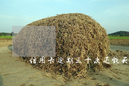 信用卡逾期三十次还能买房吗