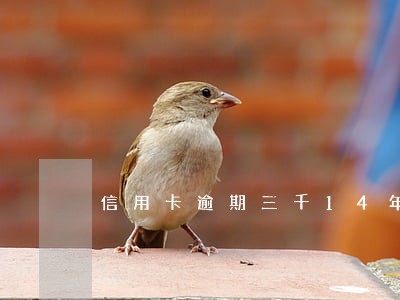 信用卡逾期三千14年 信用卡逾期三千14年