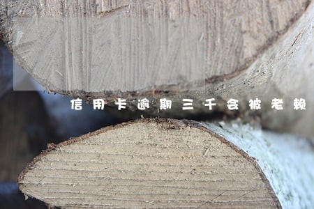 信用卡逾期三千会被老赖吗