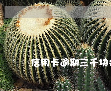 信用卡逾期三千块会拉黑吗