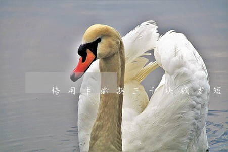 信用卡逾期三千块钱发短信说上门 信用卡逾期三千块钱发短信说上门