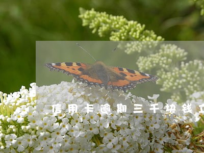 信用卡逾期三千块钱立案怎么办 信用卡逾期三千块钱立案怎么办