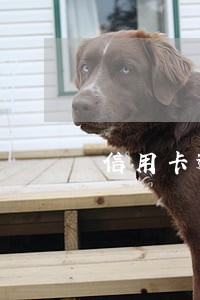 信用卡逾期三千多会坐牢吗 信用卡逾期三千多会坐牢吗