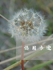 信用卡逾期三千说外访人员上门 信用卡逾期三千说外访人员上门