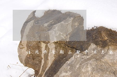 信用卡逾期三四个月怎么上诉 信用卡逾期三四个月怎么上诉