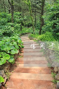 信用卡逾期三四天没有滞纳金 信用卡逾期三四天没有滞纳金
