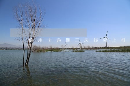 信用卡逾期三块钱会上征信吗 信用卡逾期三块钱会上征信吗