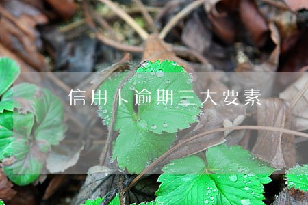信用卡逾期三大要素 信用卡逾期三大要素