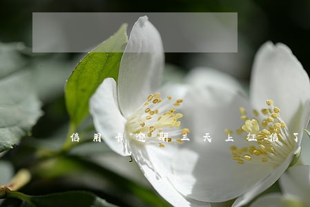 信用卡逾期三天上征信了 信用卡逾期三天上征信了