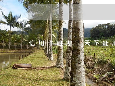 信用卡逾期三天不能用了
