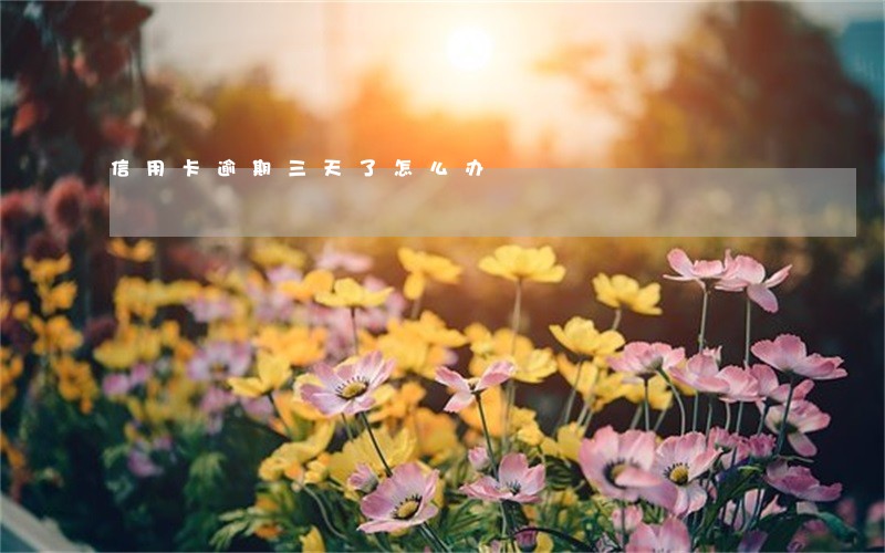 信用卡逾期三天了怎么办 信用卡逾期三天了怎么办