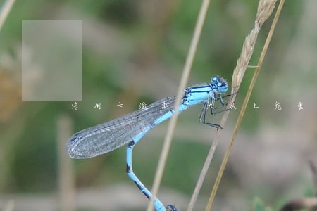 信用卡逾期三天以上危害大