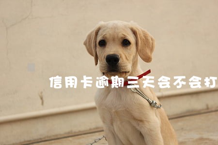 信用卡逾期三天会不会打电话催 信用卡逾期三天会不会打电话催