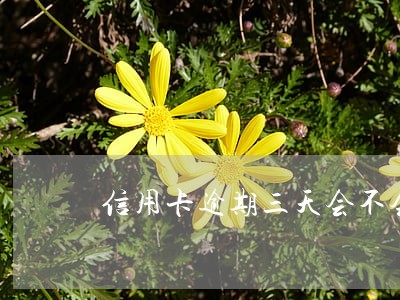 信用卡逾期三天会不会计入征信