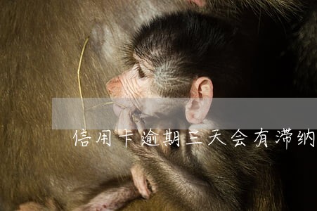 信用卡逾期三天会有滞纳金吗