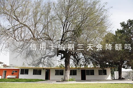 信用卡逾期三天会降额吗
