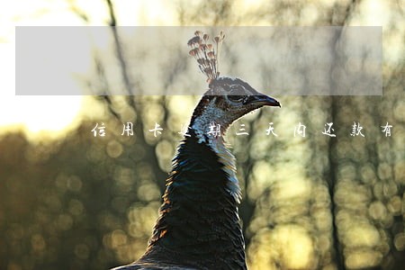 信用卡逾期三天内还款有利息么 信用卡逾期三天内还款有利息么