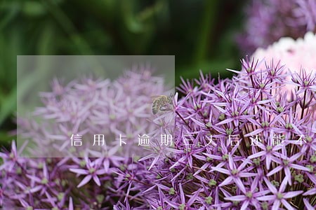 信用卡逾期三天后还能不能用 信用卡逾期三天后还能不能用