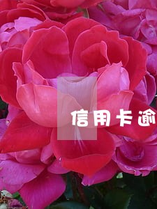 信用卡逾期三天宽限期内收利息