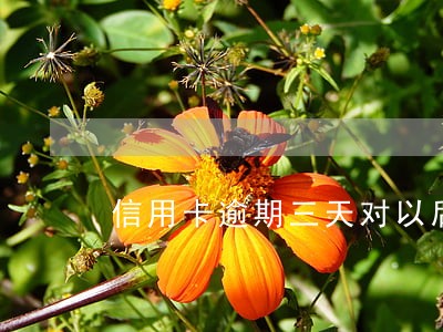 信用卡逾期三天对以后有什么影响 信用卡逾期三天对以后有什么影响