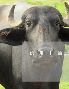 信用卡逾期三天扣了800 信用卡逾期三天扣了800
