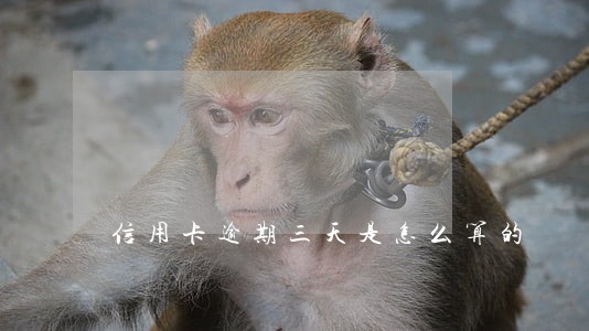 信用卡逾期三天是怎么算的