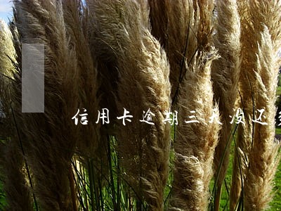信用卡逾期三天没还多少利息 信用卡逾期三天没还多少利息