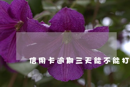 信用卡逾期三天能不能打电话 信用卡逾期三天能不能打电话