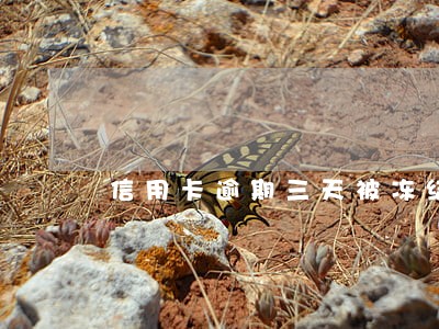 信用卡逾期三天被冻结了