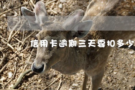 信用卡逾期三天要扣多少钱 信用卡逾期三天要扣多少钱