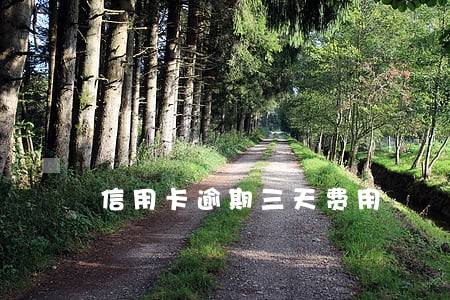 信用卡逾期三天费用 信用卡逾期三天费用