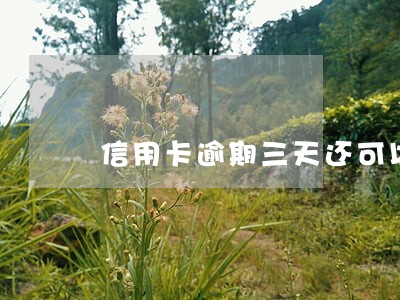 信用卡逾期三天还可以申请分期 信用卡逾期三天还可以申请分期