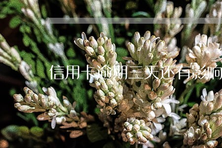 信用卡逾期三天还有影响吗 信用卡逾期三天还有影响吗