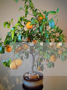 信用卡逾期三天还款会咋样 信用卡逾期三天还款会咋样